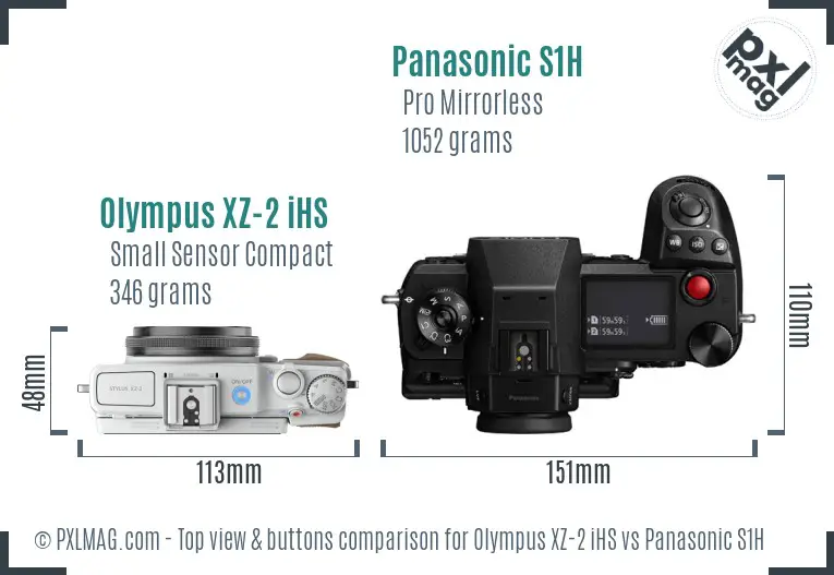 Olympus XZ-2 iHS vs Panasonic S1H top view buttons comparison
