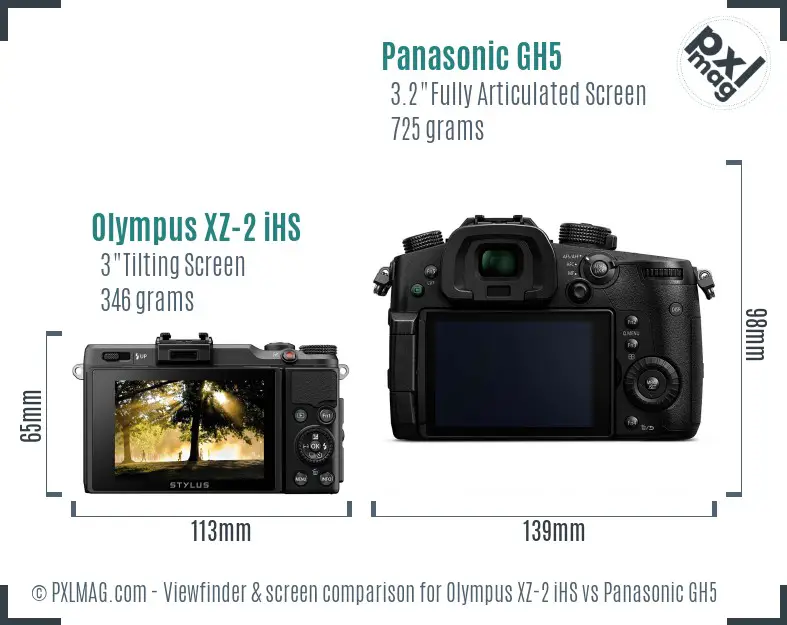 Olympus XZ-2 iHS vs Panasonic GH5 Screen and Viewfinder comparison