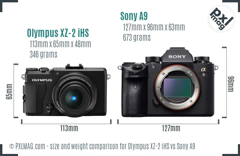 Olympus XZ-2 iHS vs Sony A9 size comparison