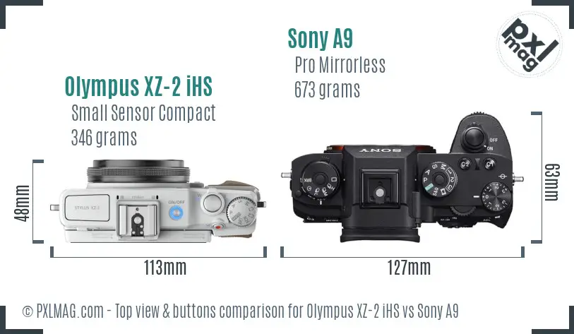 Olympus XZ-2 iHS vs Sony A9 top view buttons comparison