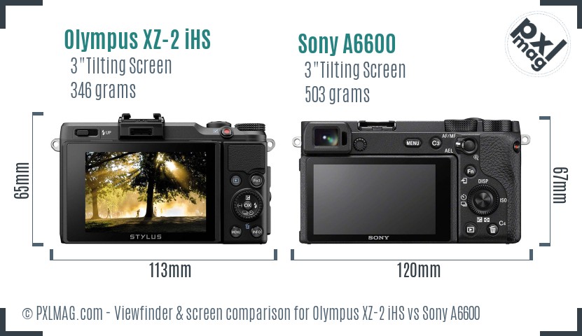 Olympus XZ-2 iHS vs Sony A6600 Screen and Viewfinder comparison