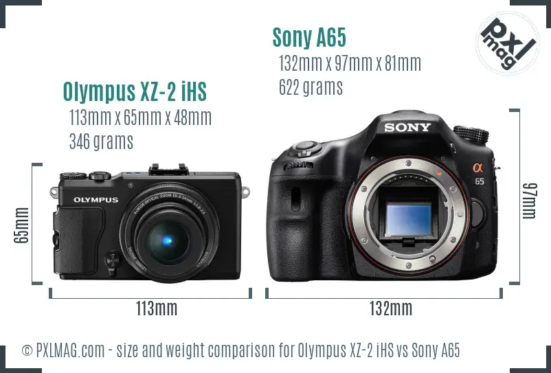 Olympus XZ-2 iHS vs Sony A65 size comparison