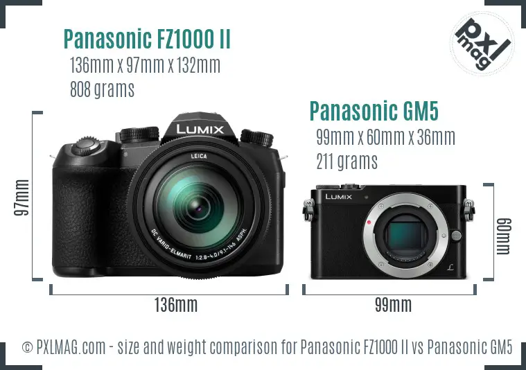 Panasonic FZ1000 II vs Panasonic GM5 size comparison