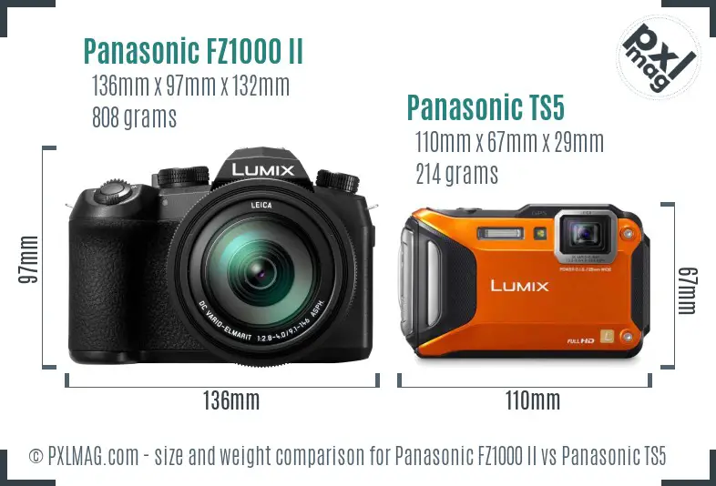 Panasonic FZ1000 II vs Panasonic TS5 size comparison