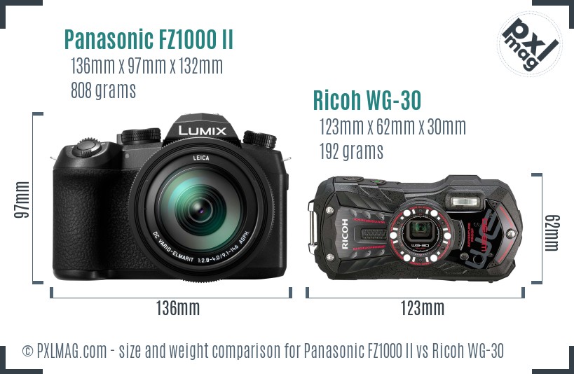 Panasonic FZ1000 II vs Ricoh WG-30 size comparison
