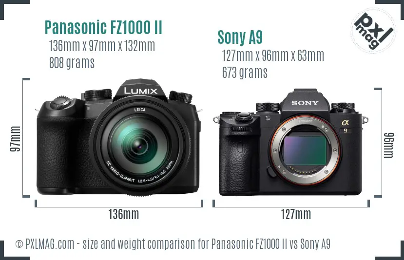 Panasonic FZ1000 II vs Sony A9 size comparison