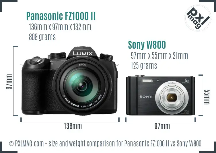 Panasonic FZ1000 II vs Sony W800 size comparison