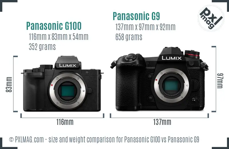Panasonic G100 vs Panasonic G9 size comparison