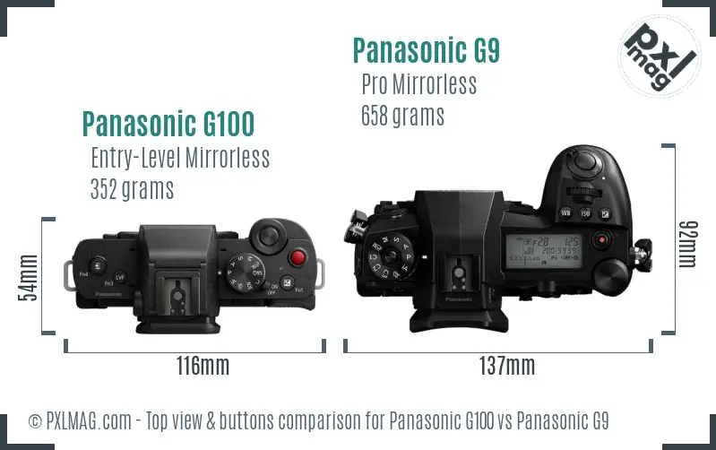 Panasonic G100 vs Panasonic G9 top view buttons comparison
