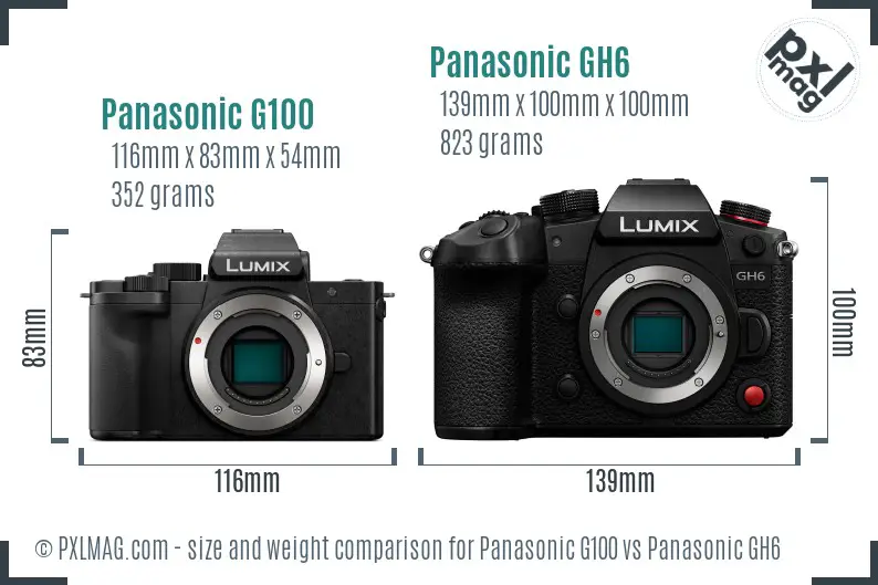 Panasonic G100 vs Panasonic GH6 size comparison