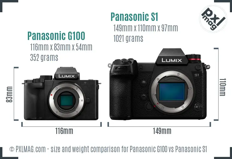 Panasonic G100 vs Panasonic S1 size comparison