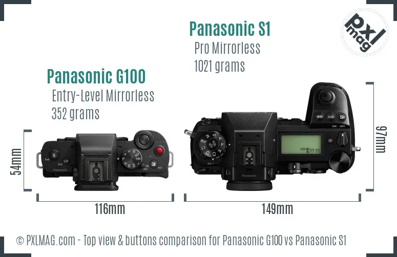 Panasonic G100 vs Panasonic S1 top view buttons comparison