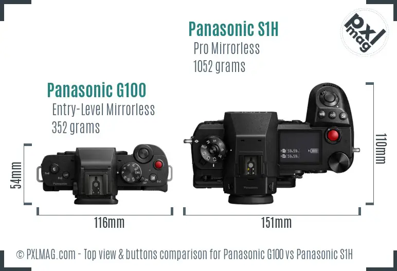 Panasonic G100 vs Panasonic S1H top view buttons comparison