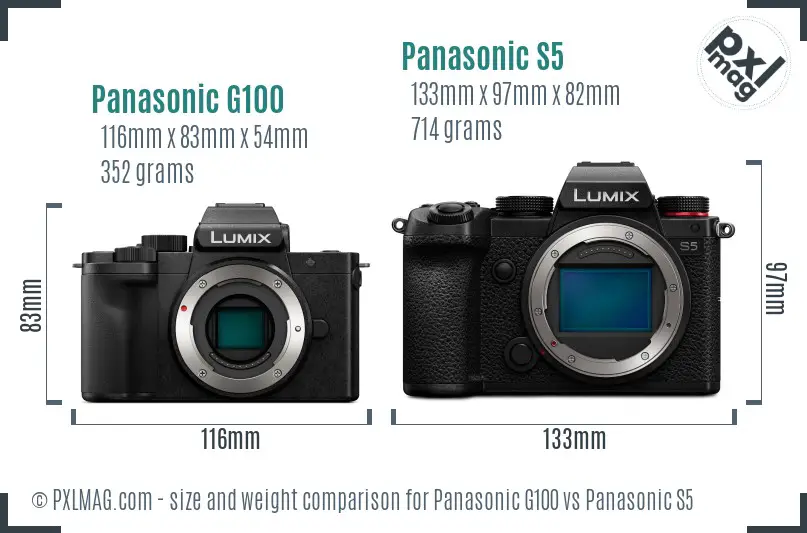 Panasonic G100 vs Panasonic S5 size comparison