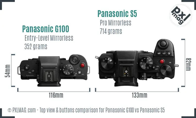 Panasonic G100 vs Panasonic S5 top view buttons comparison