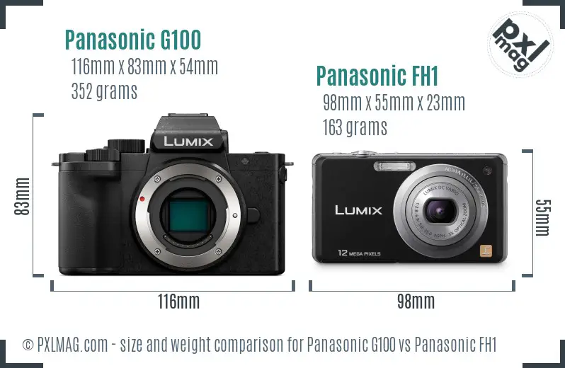 Panasonic G100 vs Panasonic FH1 size comparison