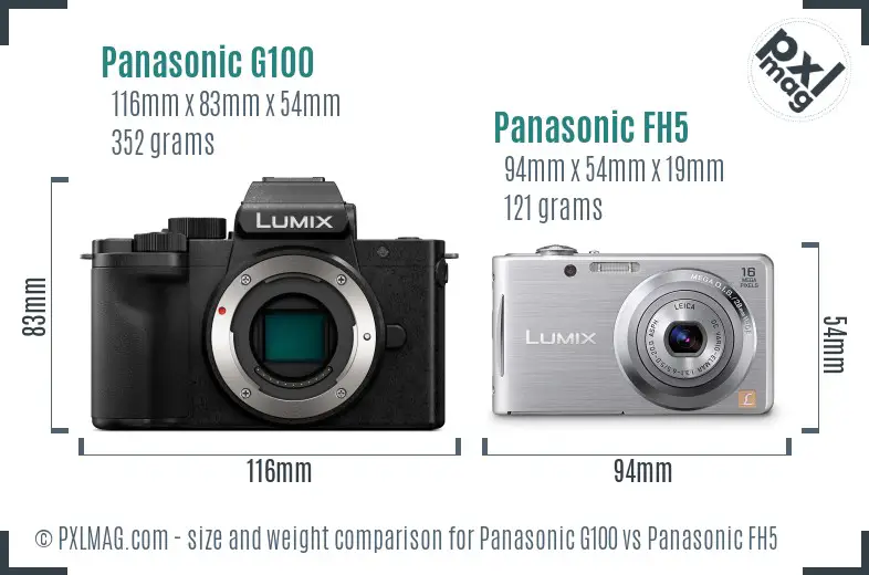 Panasonic G100 vs Panasonic FH5 size comparison