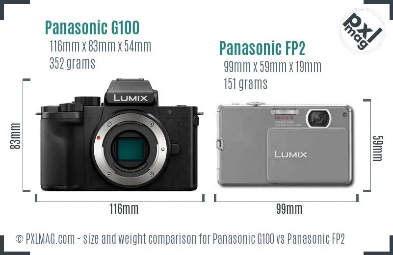 Panasonic G100 vs Panasonic FP2 size comparison