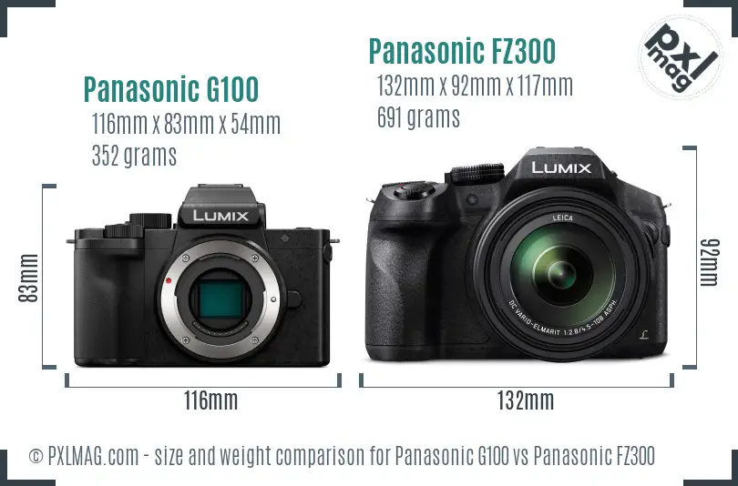 Panasonic G100 Vs Panasonic FZ300 Full Comparison - PXLMAG.com