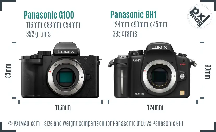 Panasonic G100 vs Panasonic GH1 size comparison