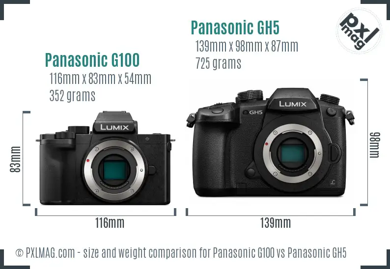 Panasonic G100 vs Panasonic GH5 size comparison