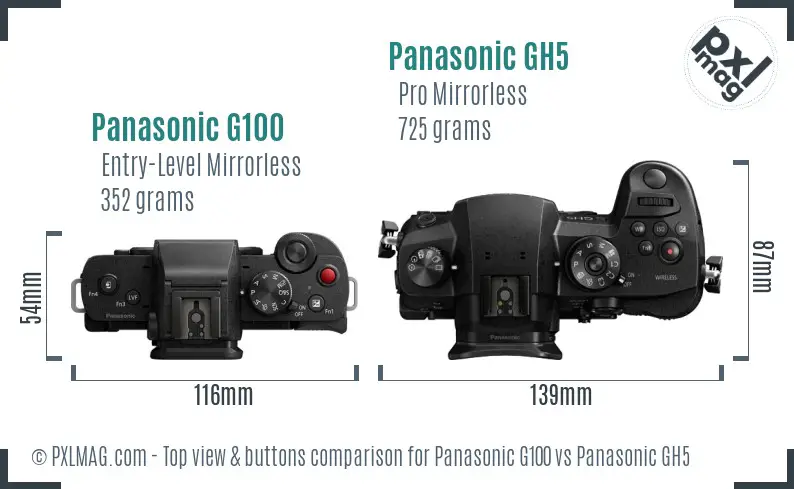 Panasonic G100 vs Panasonic GH5 top view buttons comparison