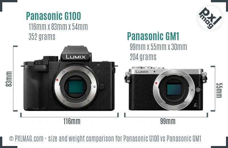Panasonic G100 vs Panasonic GM1 size comparison