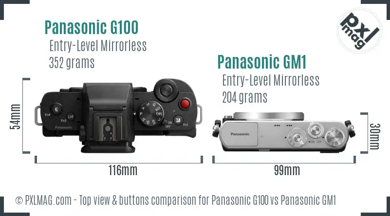 Panasonic G100 vs Panasonic GM1 top view buttons comparison