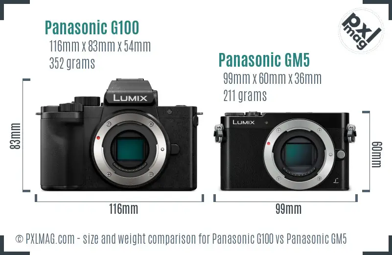 Panasonic G100 vs Panasonic GM5 size comparison