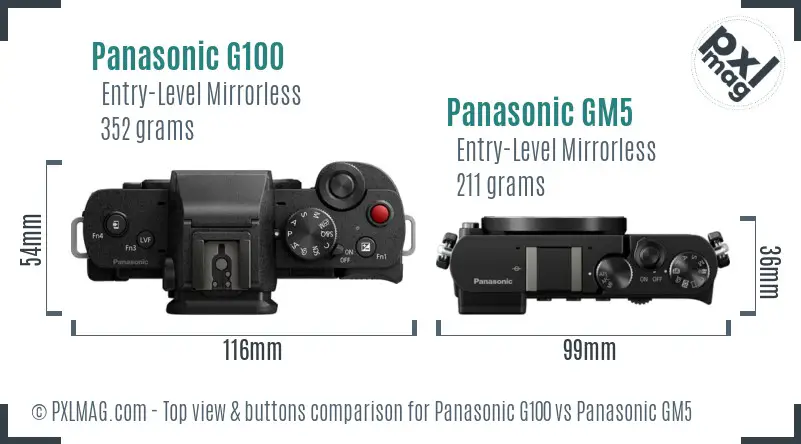 Panasonic G100 vs Panasonic GM5 top view buttons comparison