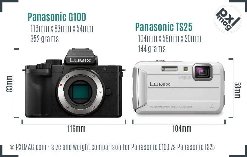 Panasonic G100 vs Panasonic TS25 size comparison