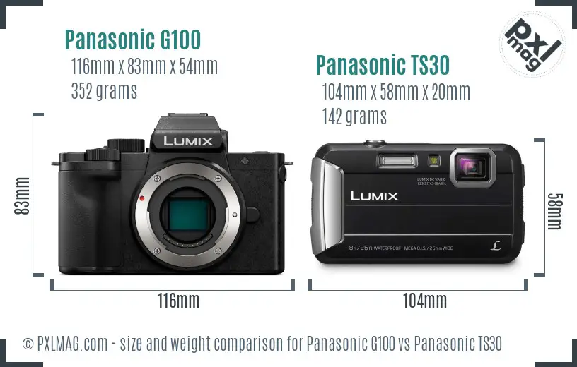 Panasonic G100 vs Panasonic TS30 size comparison