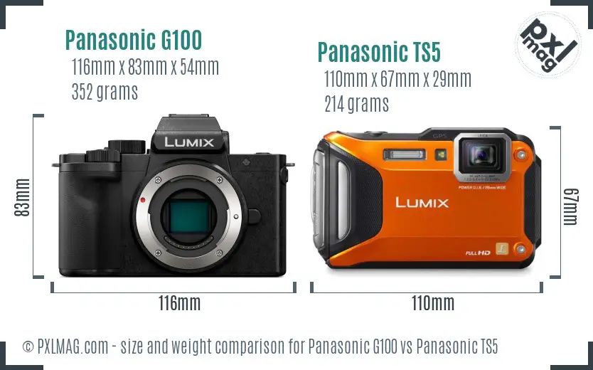 Panasonic G100 vs Panasonic TS5 size comparison