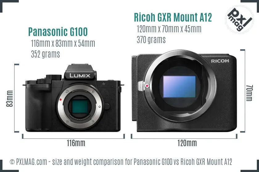 Panasonic G100 vs Ricoh GXR Mount A12 size comparison