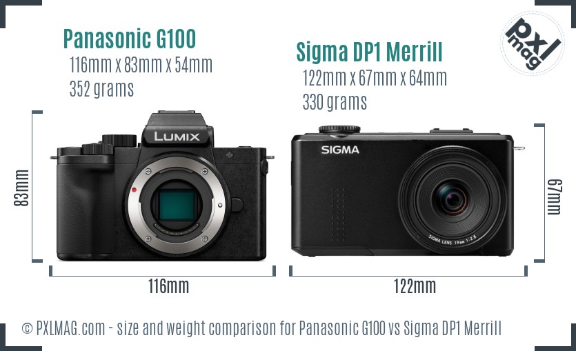 Panasonic G100 vs Sigma DP1 Merrill size comparison