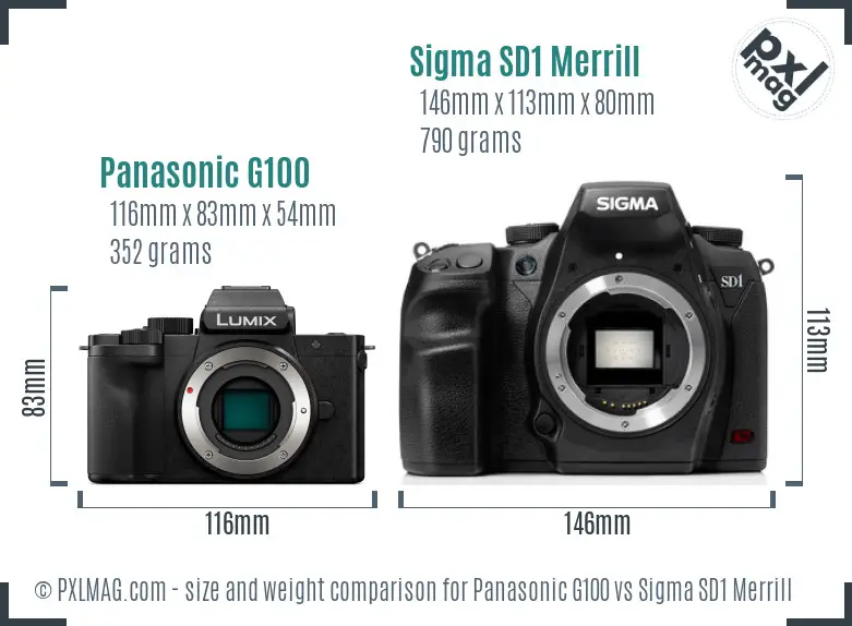 Panasonic G100 vs Sigma SD1 Merrill size comparison Panasonic G100 vs Sigma SD1 Merrill size comparison