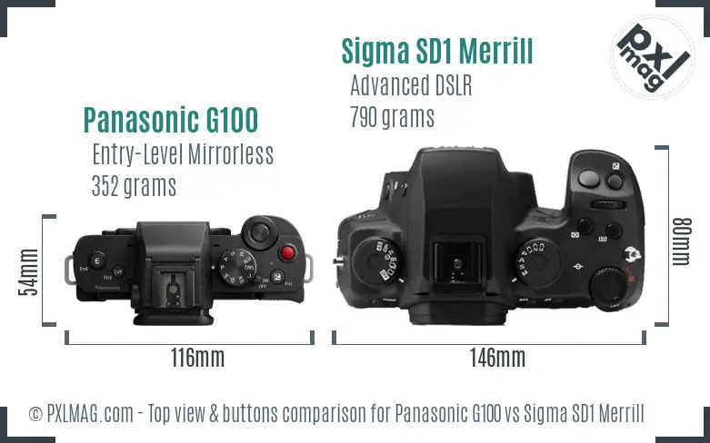 Panasonic G100 vs Sigma SD1 Merrill top view buttons comparison Panasonic G100 vs Sigma SD1 Merrill top view buttons comparison