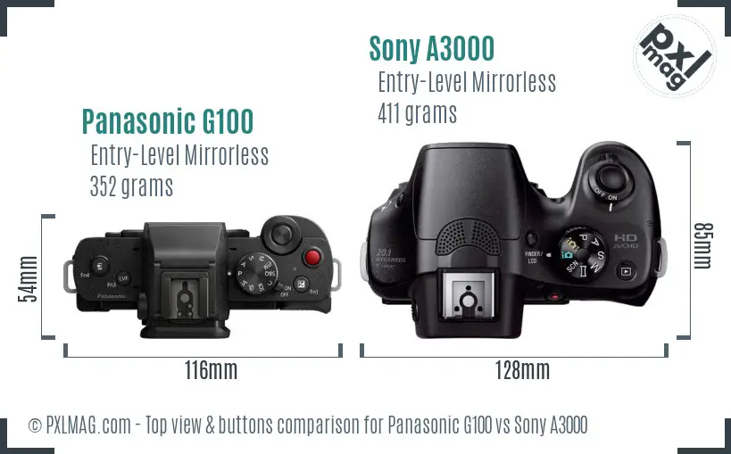 Panasonic G100 vs Sony A3000 top view buttons comparison Panasonic G100 vs Sony A3000 top view buttons comparison