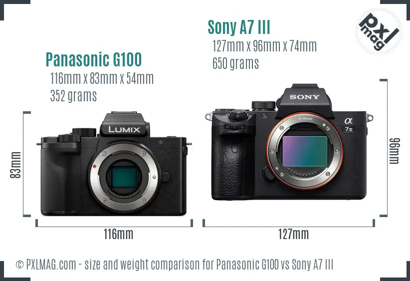 Panasonic G100 vs Sony A7 III size comparison