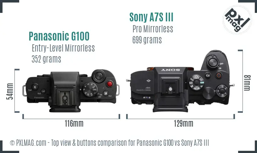 Panasonic G100 vs Sony A7S III top view buttons comparison