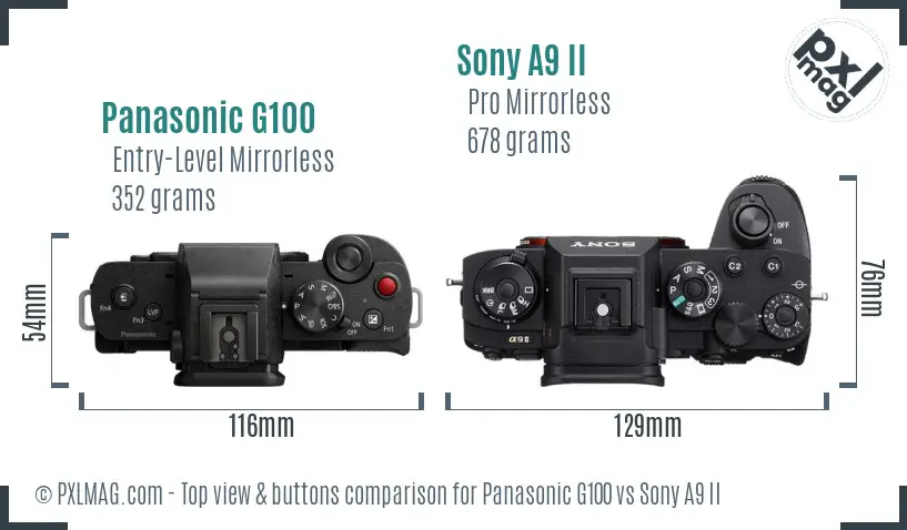 Panasonic G100 vs Sony A9 II top view buttons comparison