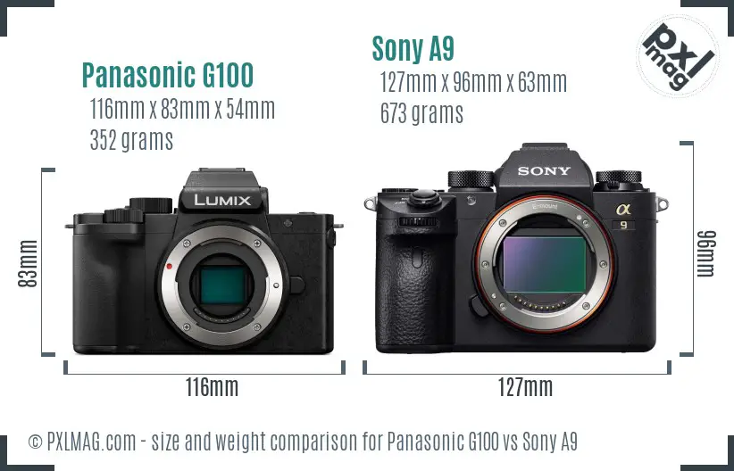 Panasonic G100 vs Sony A9 size comparison