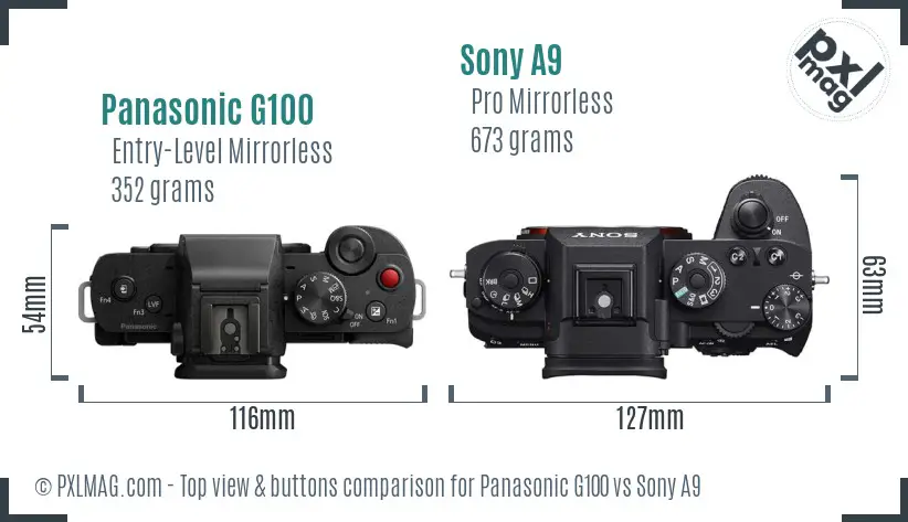 Panasonic G100 vs Sony A9 top view buttons comparison