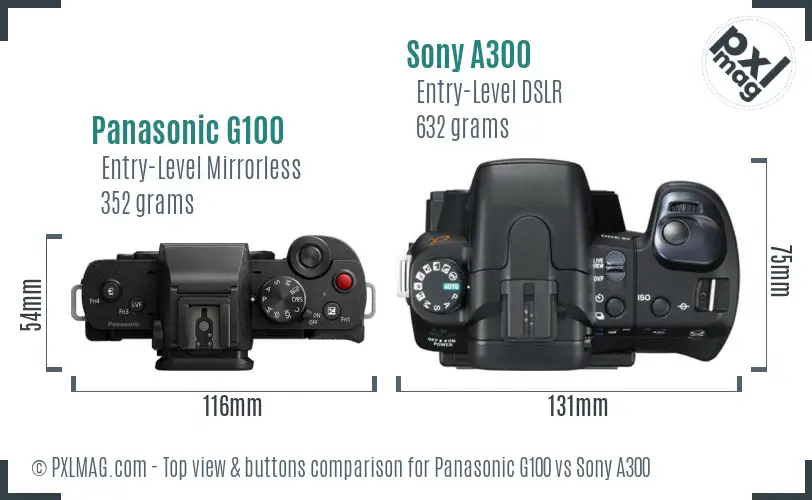 Panasonic G100 vs Sony A300 top view buttons comparison