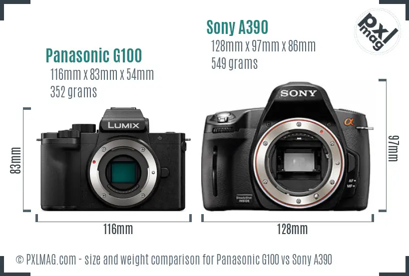 Panasonic G100 vs Sony A390 size comparison