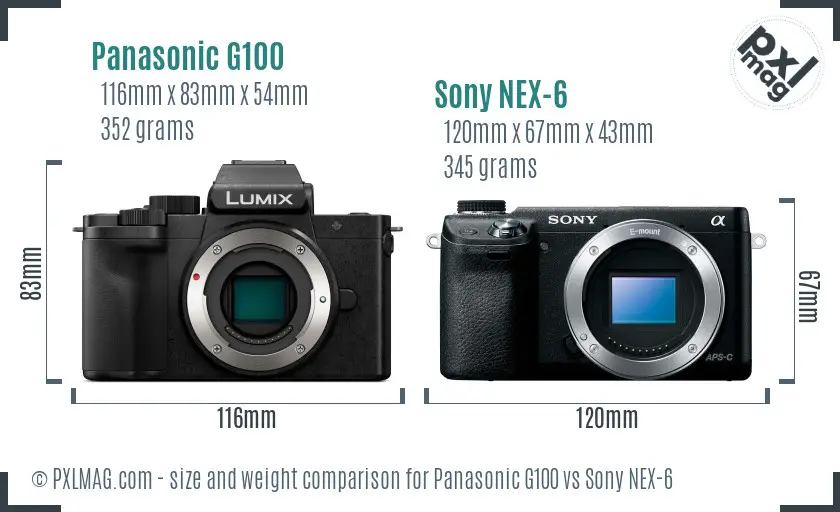 Panasonic G100 vs Sony NEX-6 size comparison