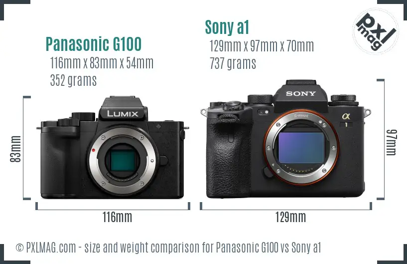 Panasonic G100 vs Sony a1 size comparison