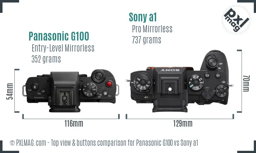 Panasonic G100 vs Sony a1 top view buttons comparison