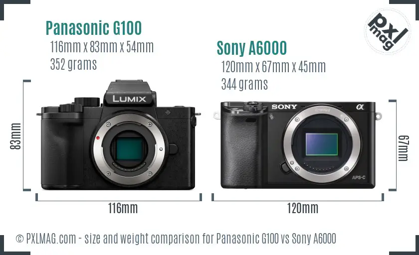 Panasonic G100 vs Sony A6000 size comparison