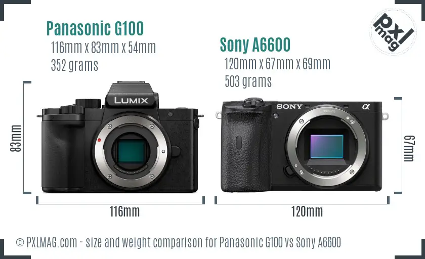 Panasonic G100 vs Sony A6600 size comparison